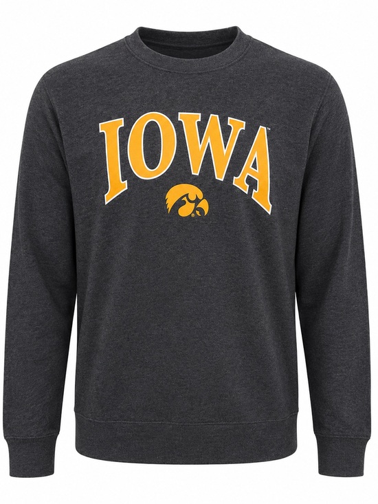 Rivalry Threads Other - NWT Iowa Hawkeyes Crewneck Sweatshirt Men’s Large Gray NCAA Rivalry Threads